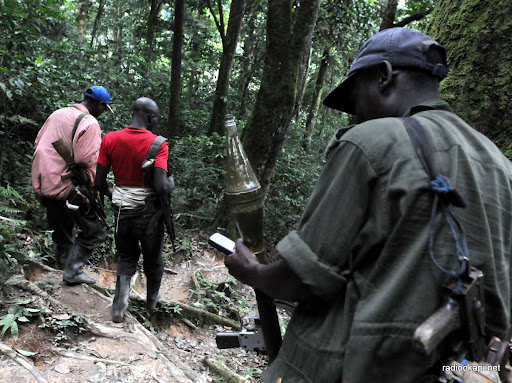 Goma : des sanctions américaines ciblent deux hauts commandants de groupes armés au Nord-Kivu