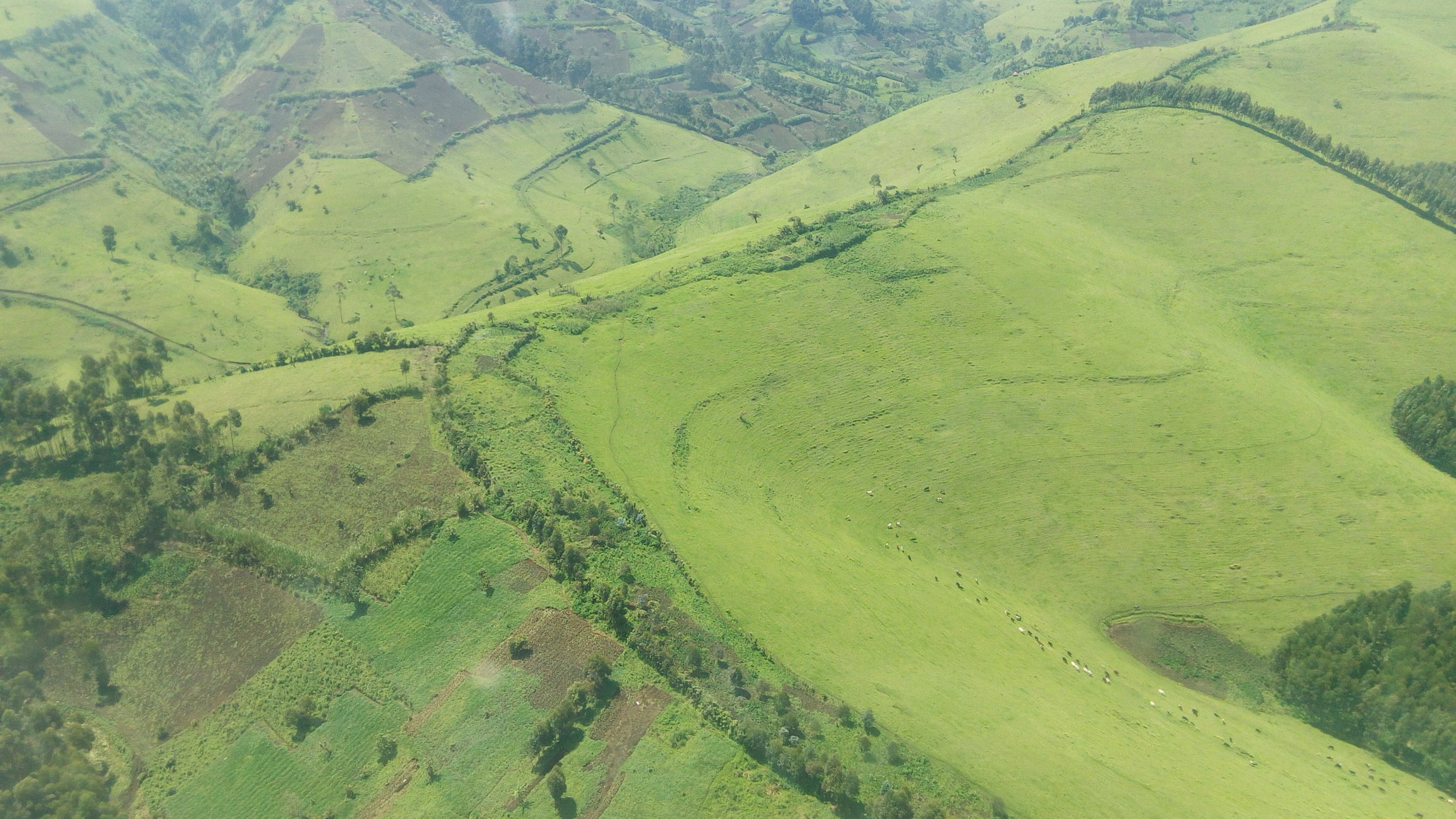 Nord-Kivu : la coalition FARDC–Wazalendo progresse vers Ngungu et Rubaya