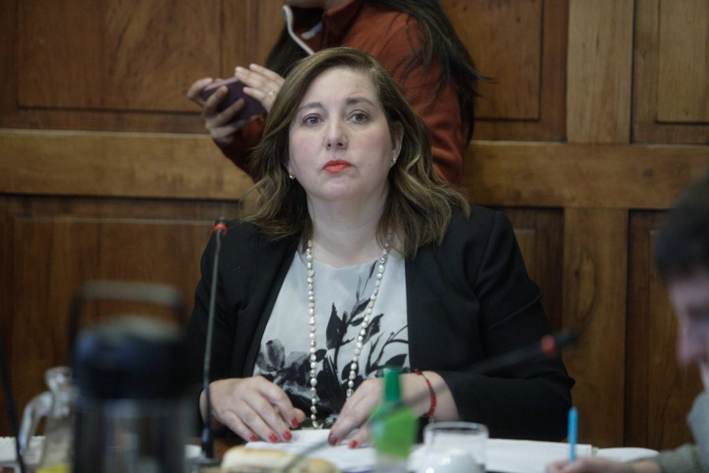 "El Gobierno se equivocó y creo que Bachelet va a ganar": Vodanovic defiende candidatura a la ONU de la expresidenta