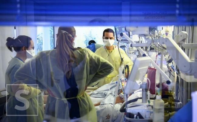 Alarming: Mass influx of patients to emergency center in BiH due to ticks