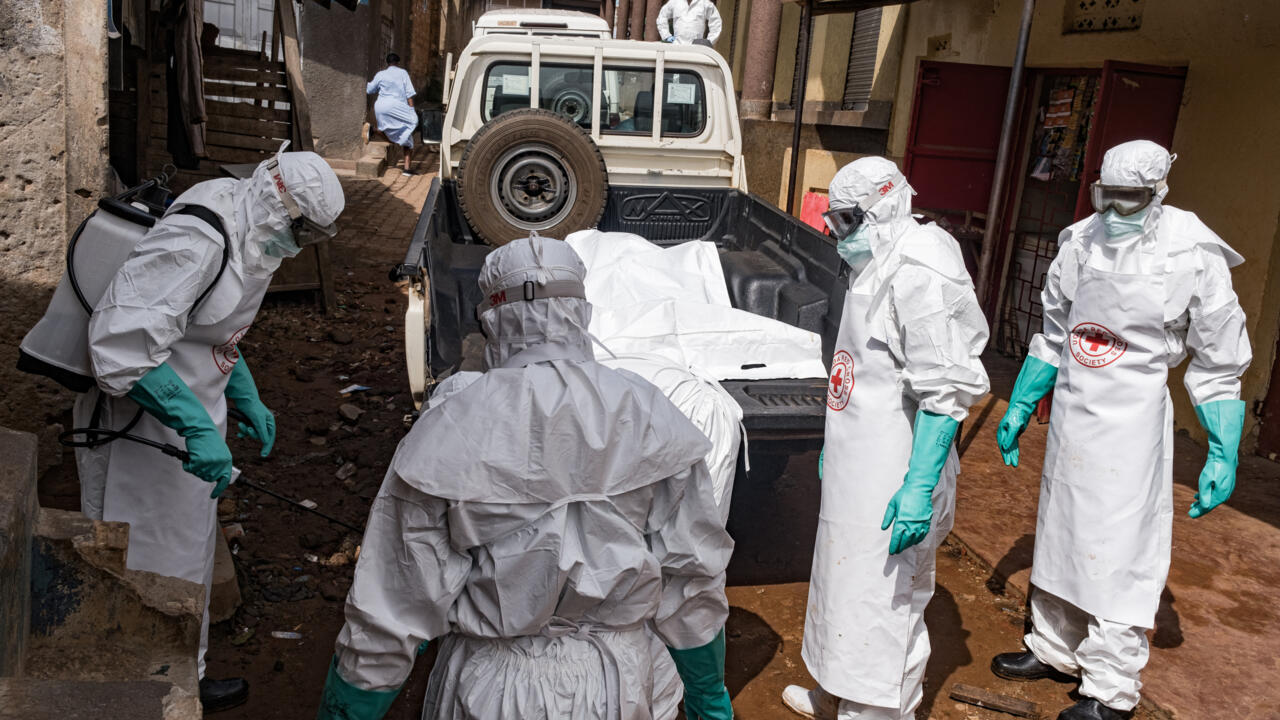 DRC faces 'catastrophic collision' of conflict and Ebola outbreak, WHO warns