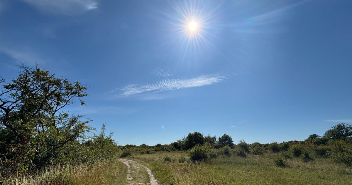 Zomer was even zoek, maar goed nieuws: hij komt terug!