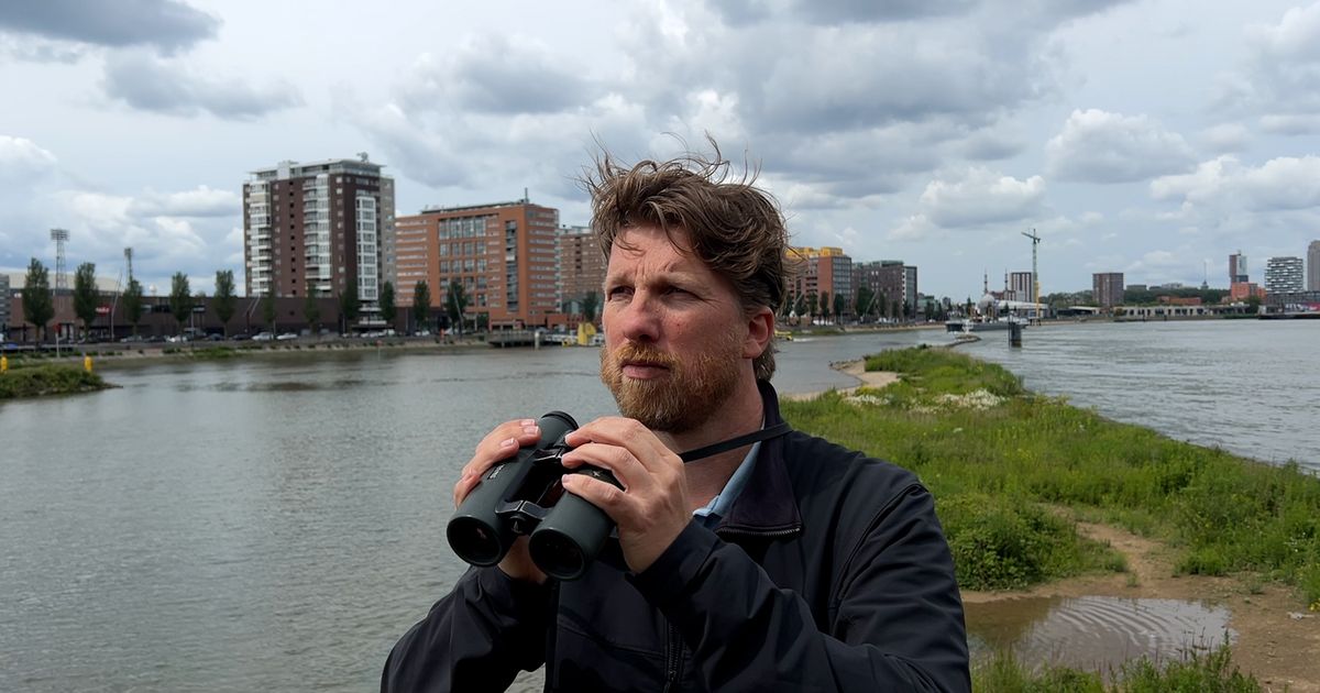 Dit park op water is 'een grote supermarkt voor de natuur' in Rotterdam