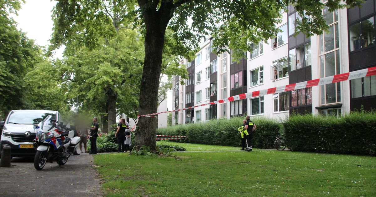 Jong kind maakt val van driehoog uit raam in Dordrecht: 'Vrijwel geen letsel'