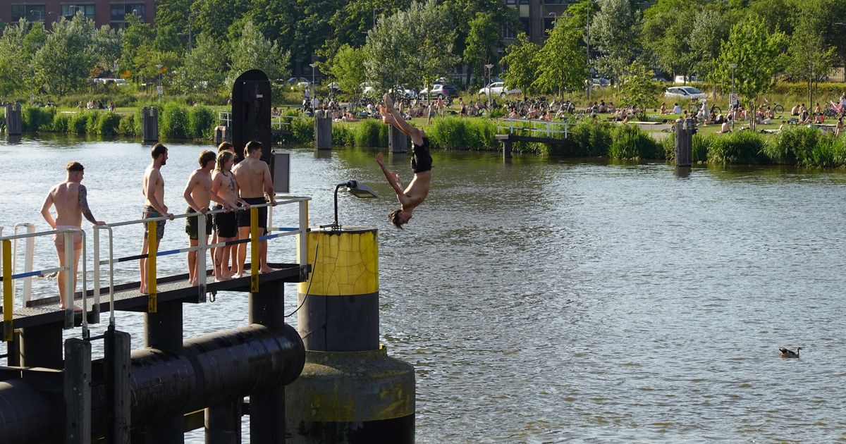 Eigenlijk mag zwemmen hier niet, maar Rotterdammers duiken toch het water in: 'Nood breekt wet'