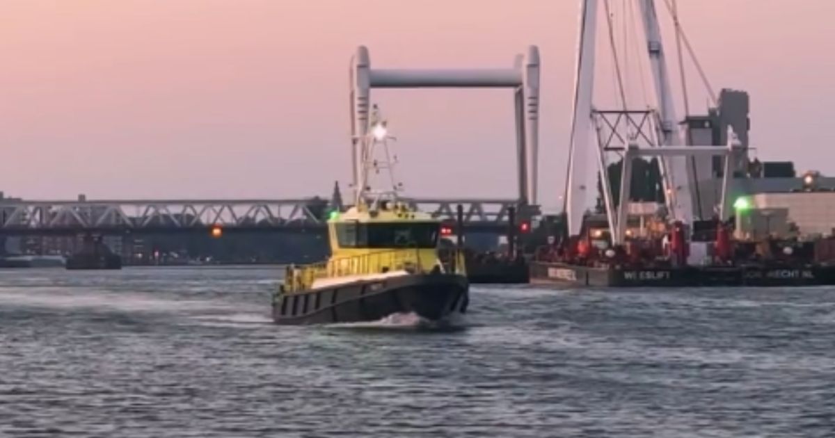 Extreme hitte: code rood uitgeroepen, zwemmer in Oude Maas gered en olifanten spetteren in het water
