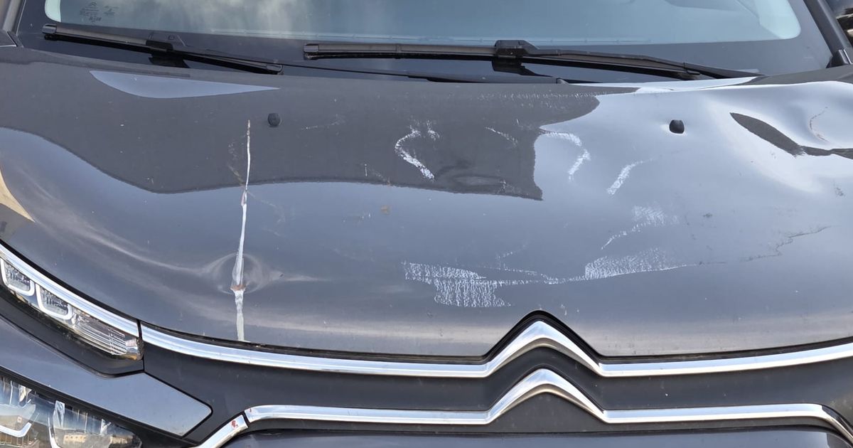 Ellen krijgt midden in de file een slagboom op haar motorkap: 'Ik raakte in paniek'