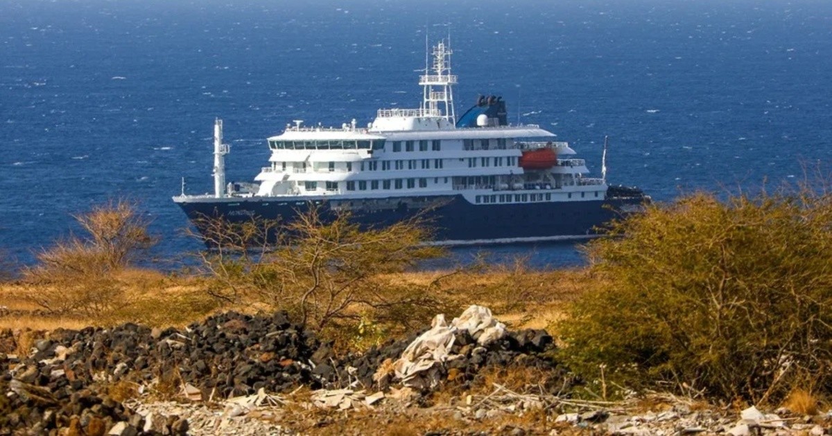 Hantavirus en el crucero: confirmaron contagios de la cepa Andes, única transmisible entre humanos