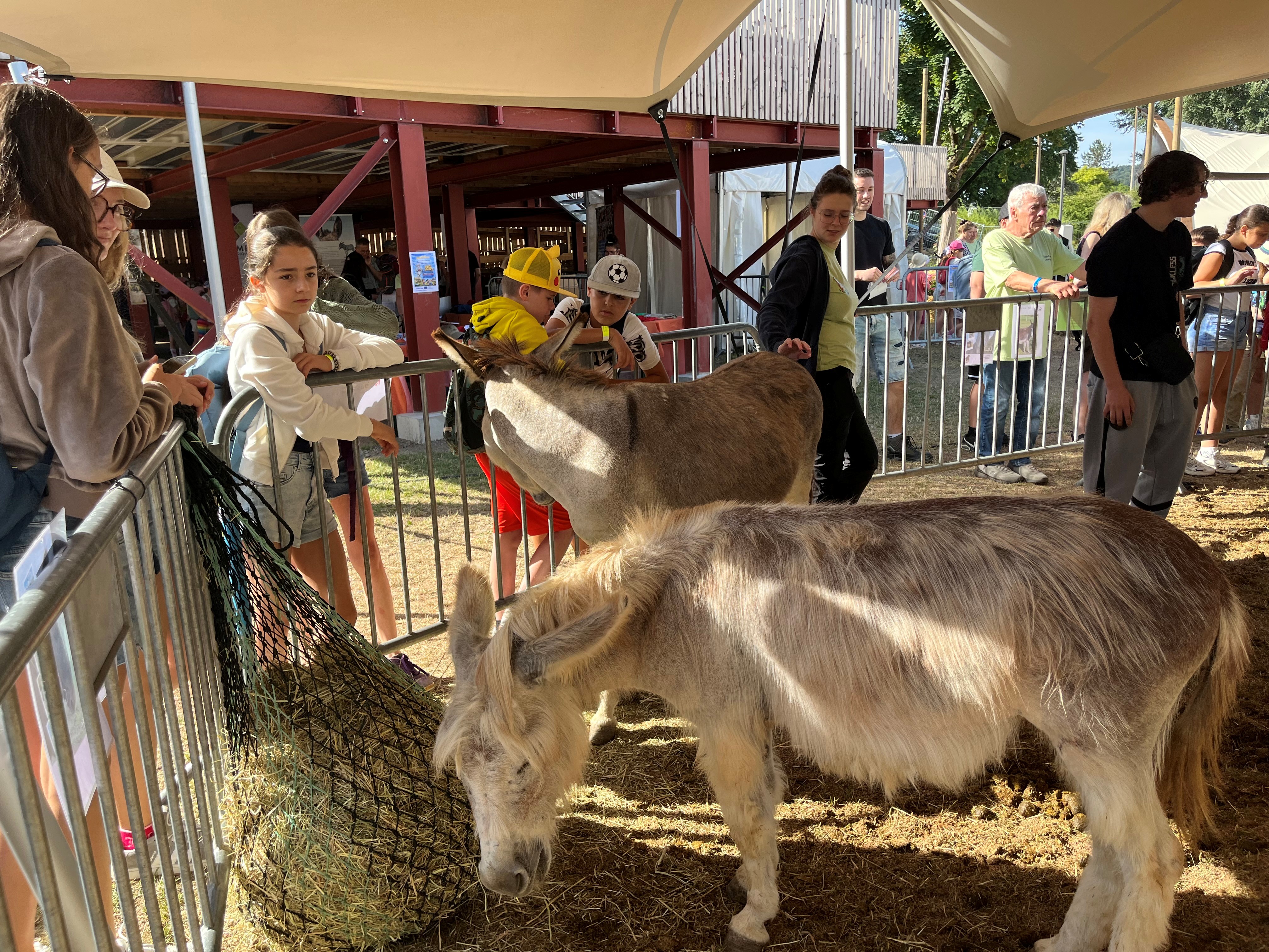 43. EditiounDéi Ettelbrécker Foire agricole ass offiziell lancéiert03.07.2026AudioFotoen 2