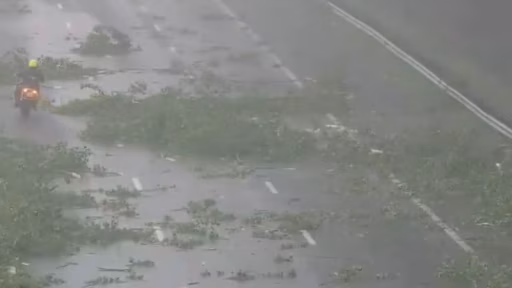 Chaos op A15: noodweer met bliksem strooit takken over snelweg