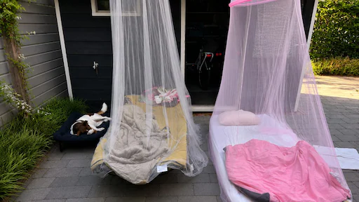 Deze mensen slapen vanwege de hitte buiten: 'Geeft mij energie'
