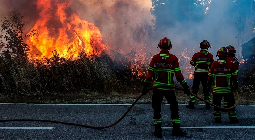 Firefighting efforts: Portugal activates European Civil Protection Mechanism