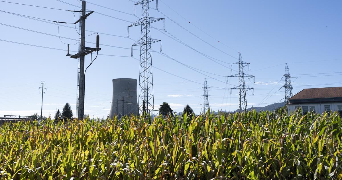 Le nucléaire gagne à nouveau en popularité face à la crainte d'une pénurie d'électricité