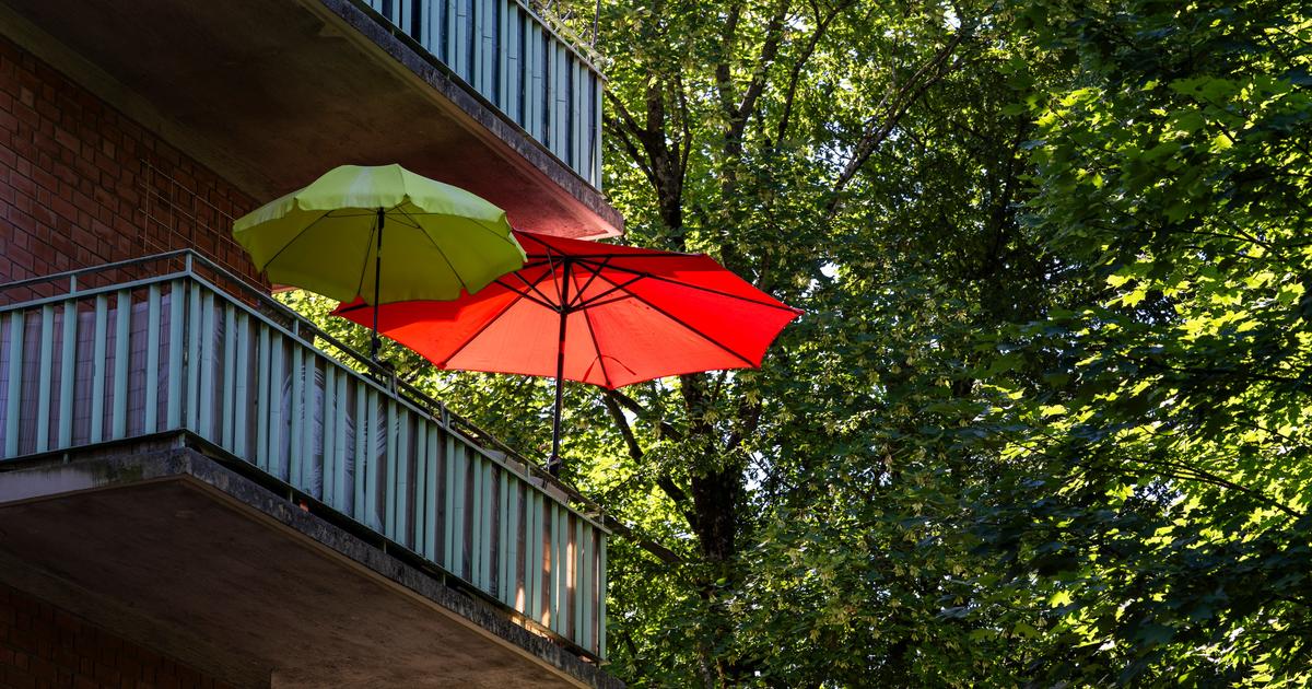 Canicule en Suisse : première nuit tropicale avant des pics à 37°C