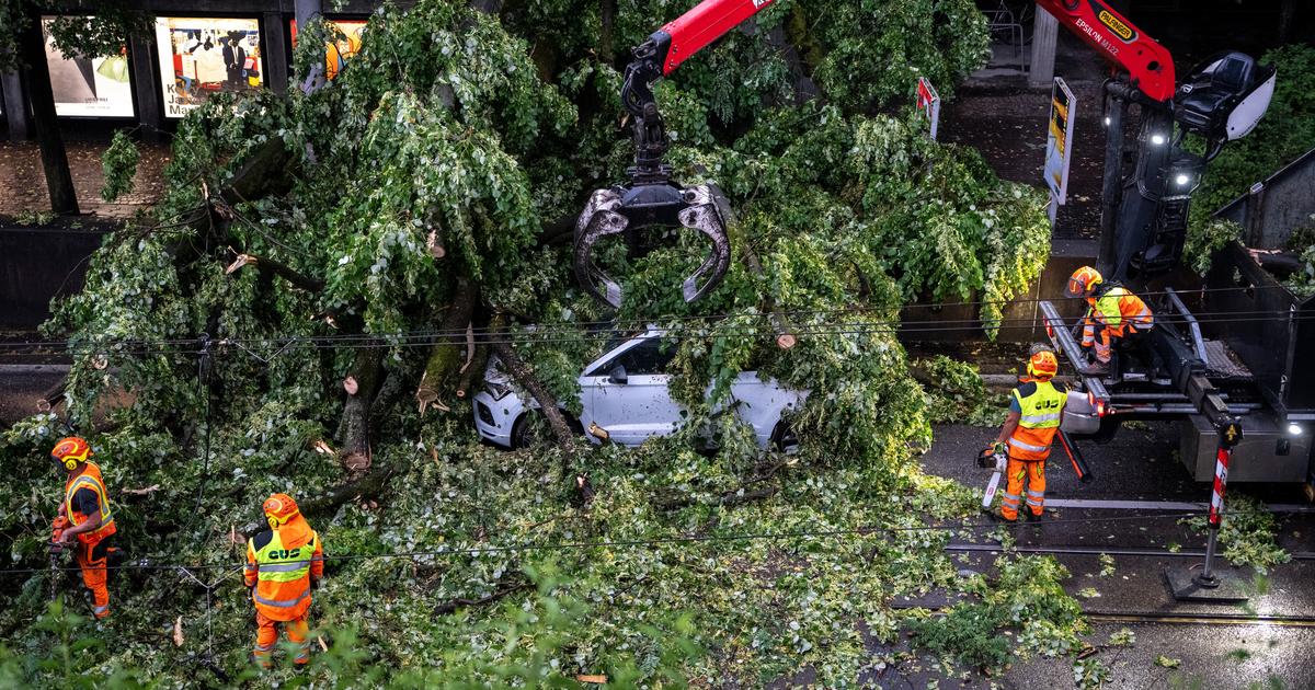 Violente tempête à Zurich : plusieurs blessés et aéroport perturbé