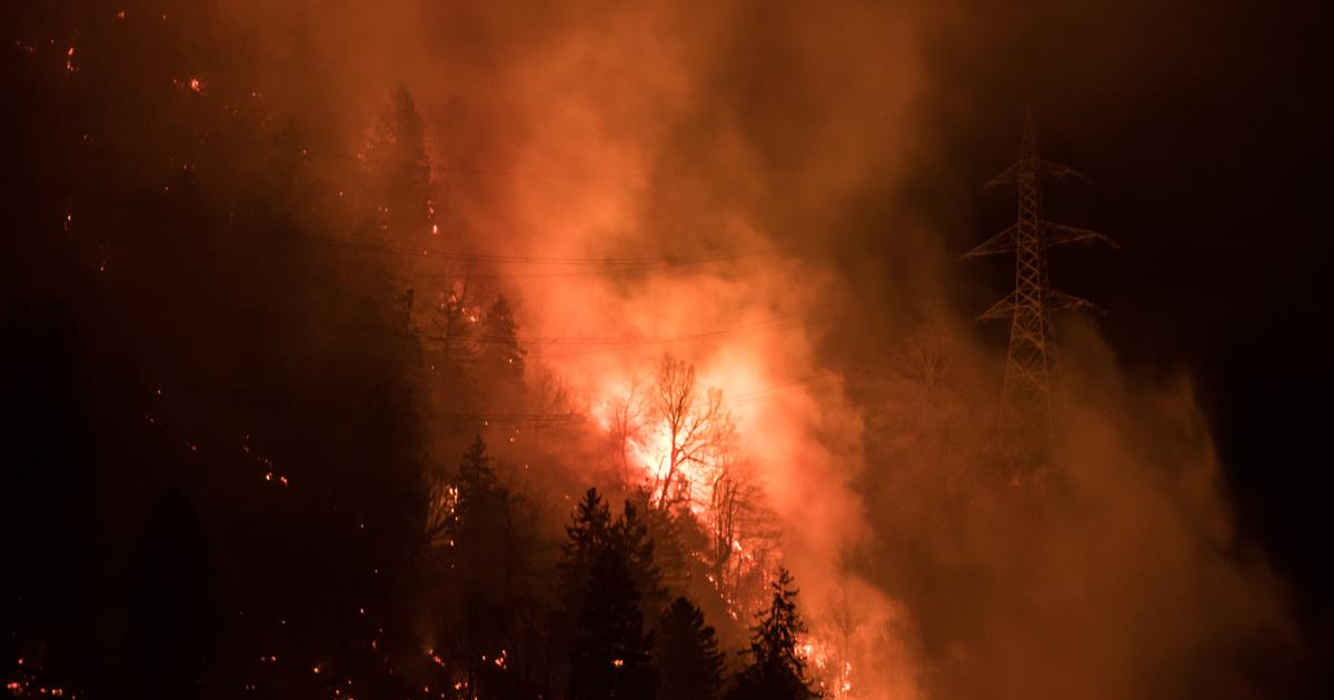 Sécheresse : la Suisse fait face aux incendies de forêt