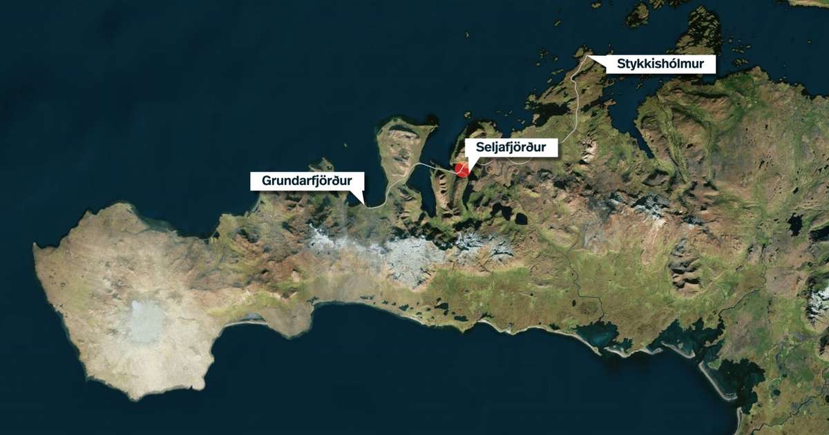 Bílstjóri rútu sem valt í Seljafirði ákærður - RÚV.is
