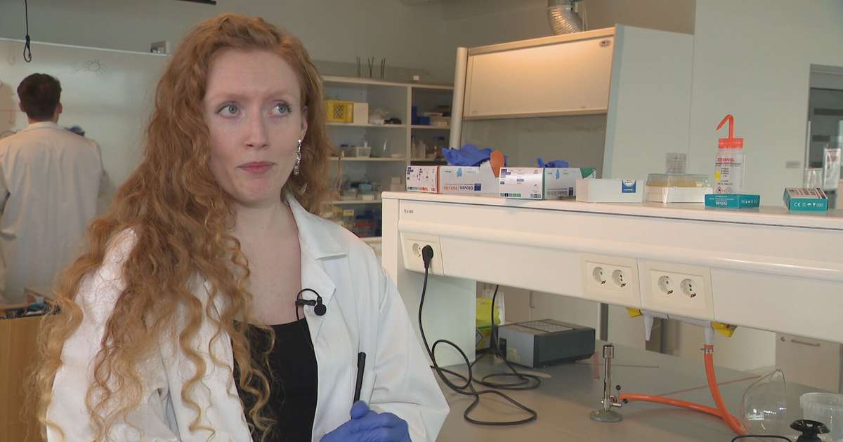 Köngulóarsilki gæti komið í stað gerviefna - RÚV.is