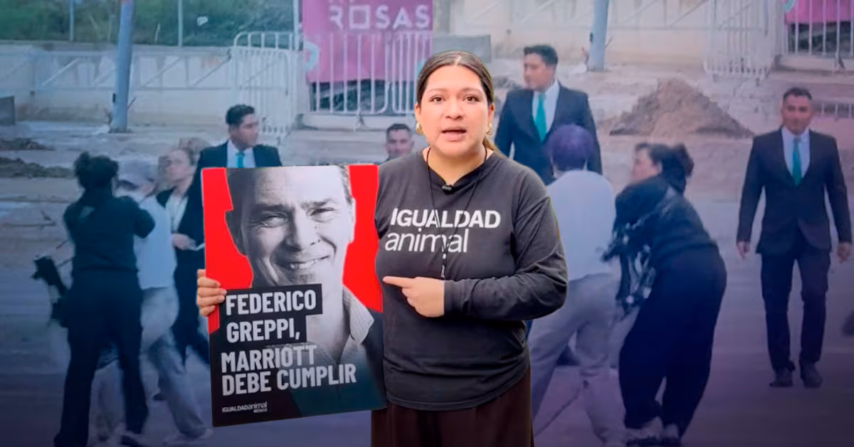 Jalisco Agreden a activista de Igualdad Animal México durante protesta frente a The Westin Guadalajara