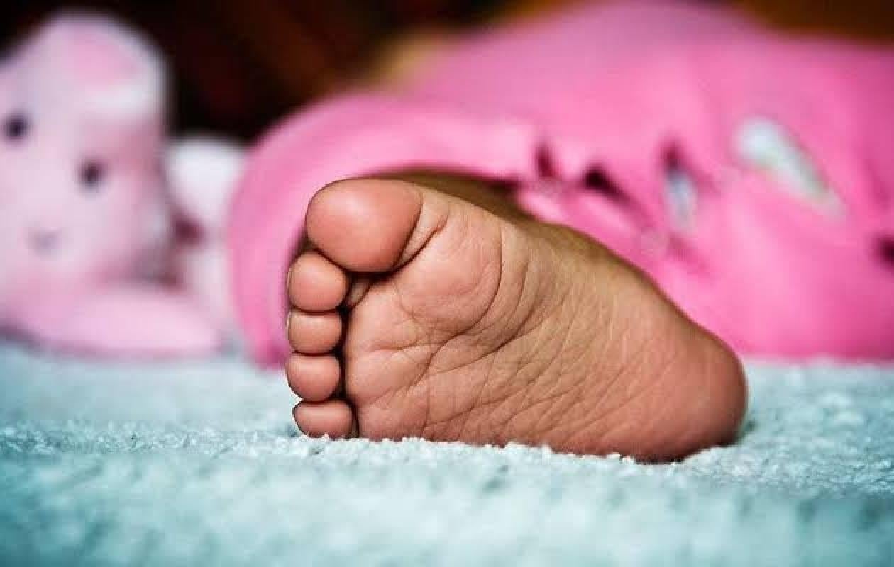 Saint-Louis : la malade mentale accouche et abandonne son bébé sous un arbre, le père de l’enfant est un…