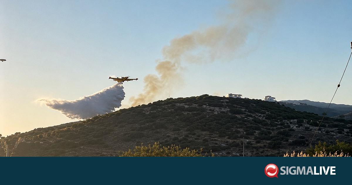 Πρόλαβαν τα χειρότερα στα Κλαυδιά – Υπό έλεγχο η φωτιά (ΒΙΝΤΕΟ)