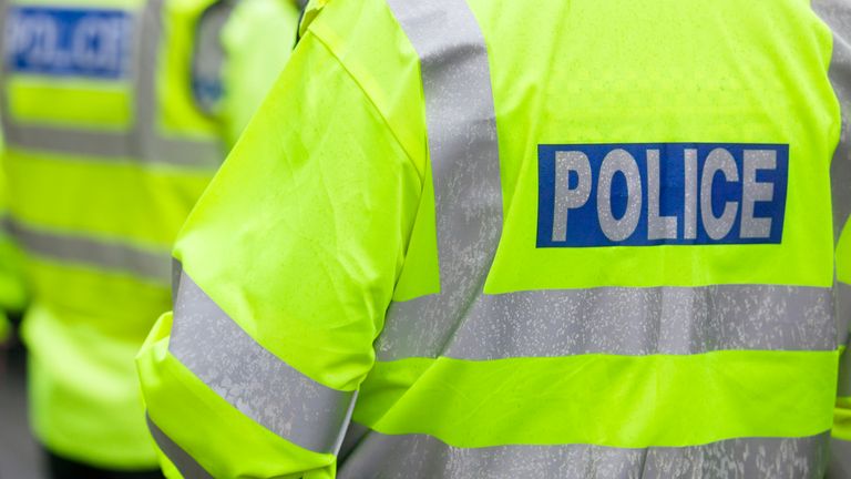 Woman arrested in murder investigation after man found unresponsive in park