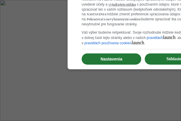 Koketovanie, ktoré je proti etike i estetike, hovorili kritici o plávaní žien. Prvý verejný kúpeľ bol na brehu rieky