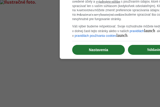 Ministerstvo kultúry bude po novom vydávať licencie na dovoz predmetov kultúrnej hodnoty