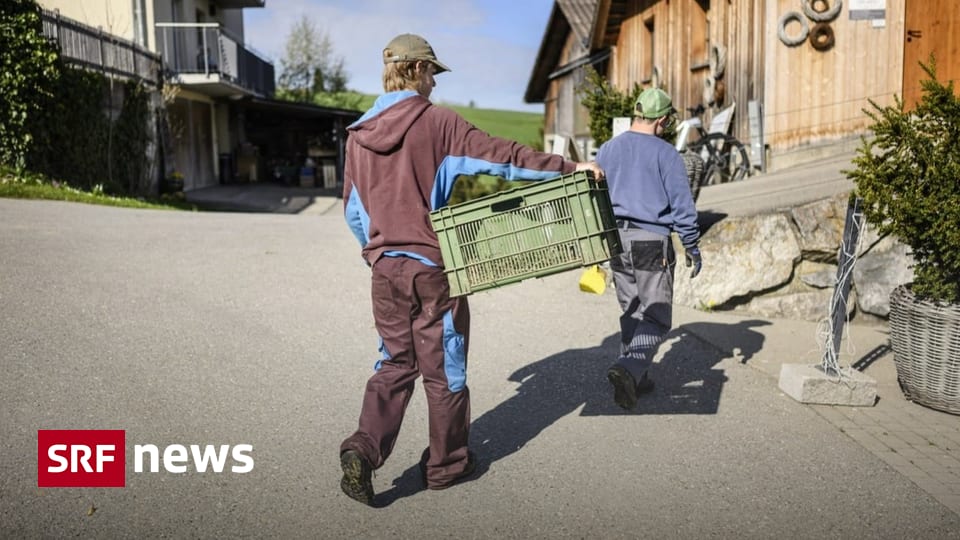 2. SRG-Umfrage Patt-Situation: Zivildienstgesetz büsst leichten Ja-Vorsprung ein Die Gesetzesvorlage ist von einer Nein-Dynamik erfasst worden, obwohl die Pro-Argumente weiter
