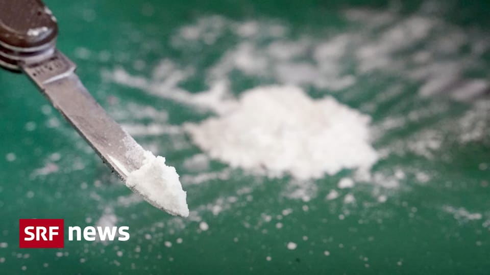 Beliebte illegale Droge Zehntausende in der Schweiz konsumieren Kokain Eine Analyse von Sucht Schweiz zeigt: Der Kokainkonsum in der Schweiz nimmt zu – vor allem unter jungen