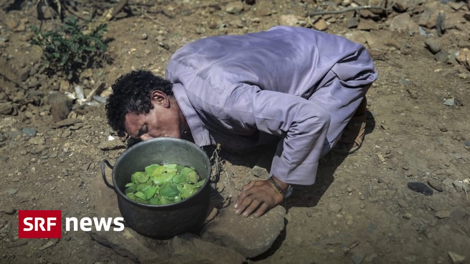 Humanitäre Hilfe Fastenaktion schliesst erstmals seit 2022 positiv ab Wie die Organisation schreibt, flossen rund 18 Millionen Franken in Projekte auf verschiedenen Kontinenten.