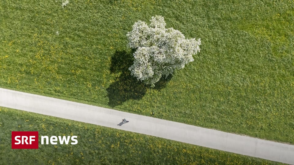 Bauern versus Umweltschützer Streit um Ackerland Für Schutzorganisationen wird das Erwerben von Land künftig wohl schwieriger, wie ein Beispiel von Pro Natura zeigt. Vor 2