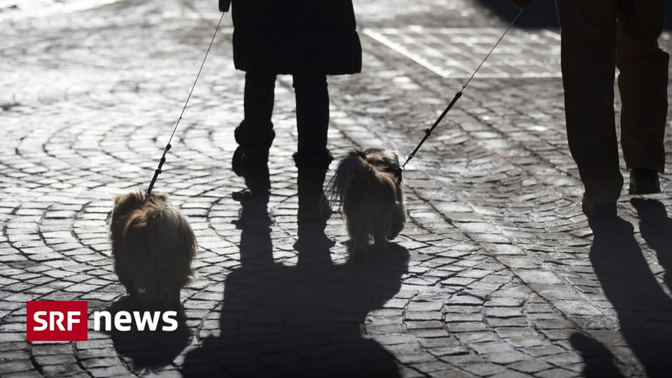 Prozess in Gstaad Serbisches Ehepaar wegen Menschenhandels verurteilt Das Regionalgericht Berner Oberland verurteilt ein serbisches Ehepaar und dessen Tochter zu mehrjährigen