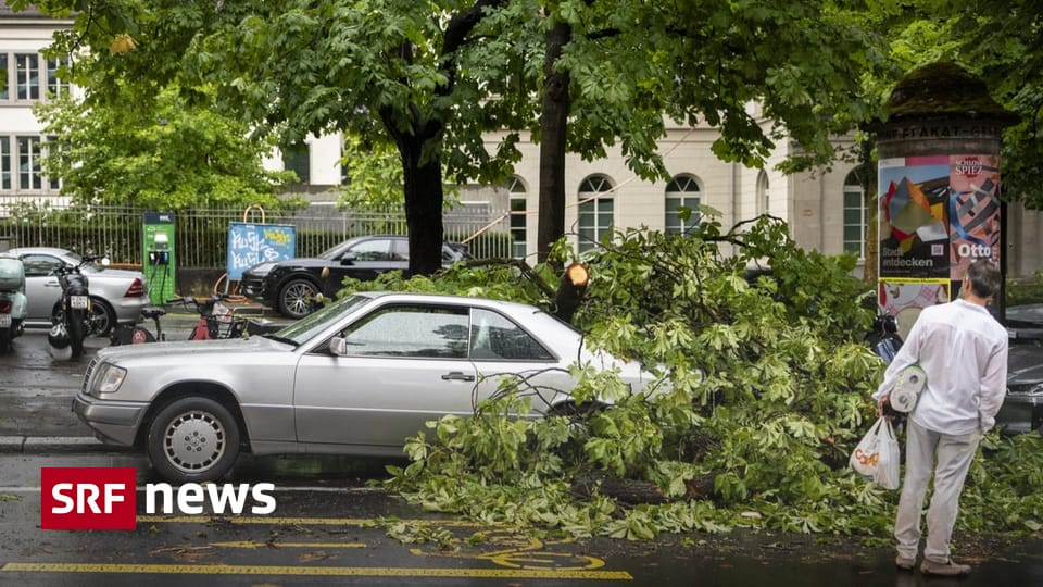 Unwetter in Zürich Von herabfallendem Ast getroffen: 16-Jährige stirbt im Spital Das teilt Schutz und Rettung Zürich mit. Zuvor war die Jugendliche in kritischem Zustand in ein