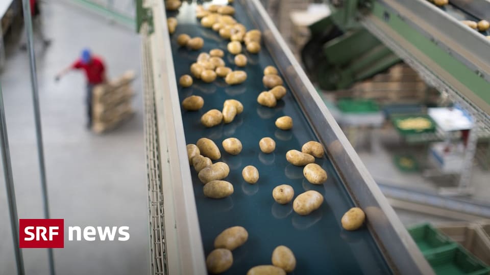 Schweizer Landwirtschaft Fenaco-Chef: «Ertragssicherheit in der Schweiz nimmt stark ab» Die Hitze belastet die Schweizer Landwirtschaft. Dies gefährde die Versorgungssicherheit,