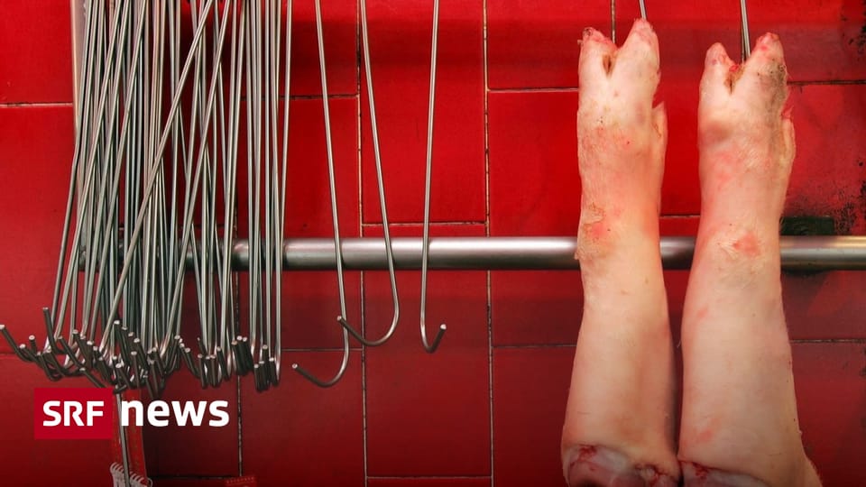 Folgen des Iran-Krieges Export von Schweizer Schweinefüssen nach China gerät ins Stocken Der Iran-Krieg wirkt sich auf eine Nische der Schweizer Fleischindustrie aus: den Export