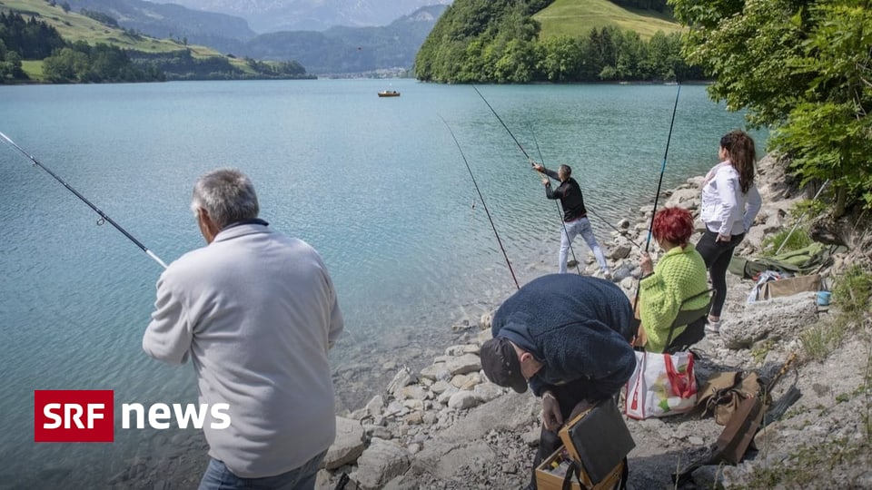 Knatsch in Lungern OW Hickhack um Fischerparadies am Lungernsee Wo Hobbyfischer Forellen aus dem See ziehen, tolerieren die Behörden seit 15 Jahren rechtswidrige Bauten. Mit Audio