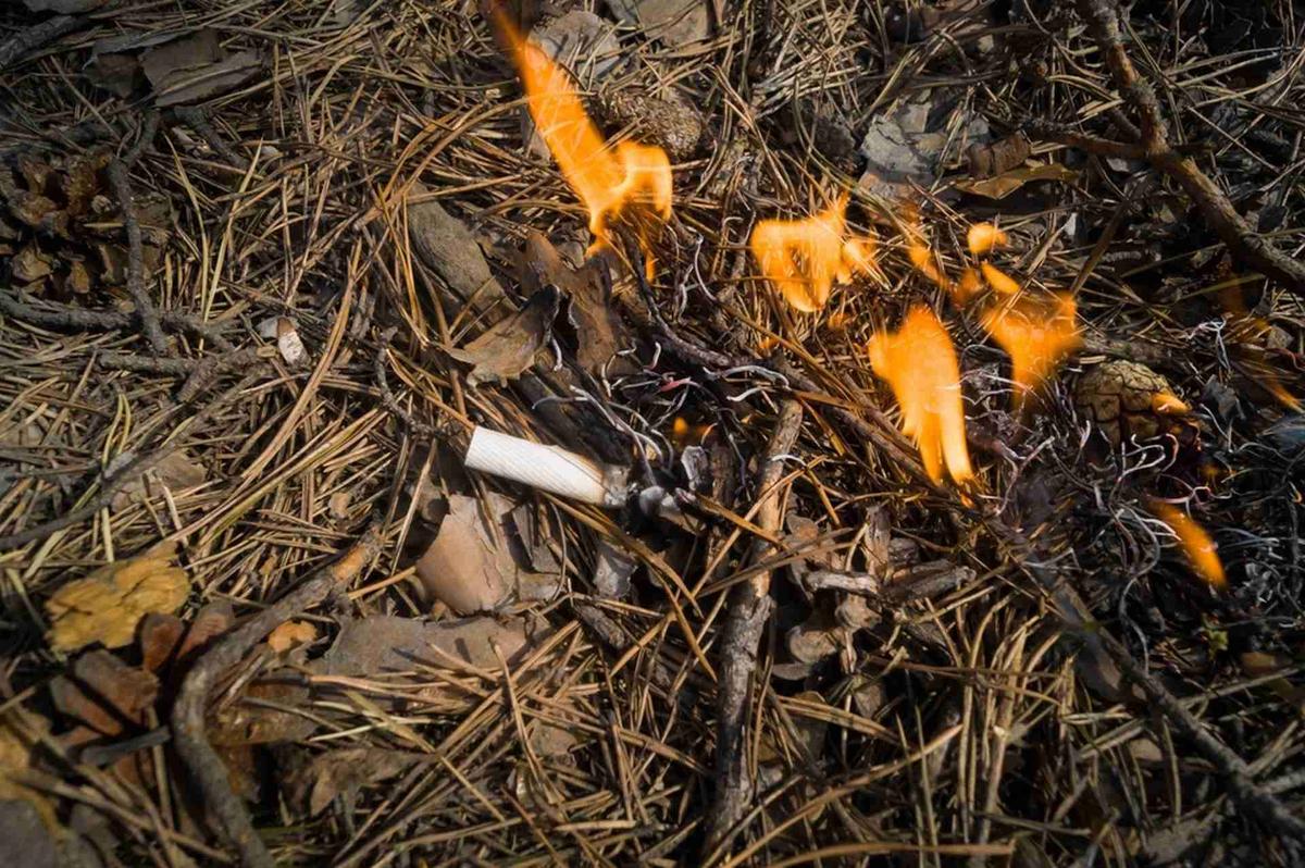 Roadside Fires: “There is a population that hasn't understood”... firefighters' frustration with the scourge of cigarette butts