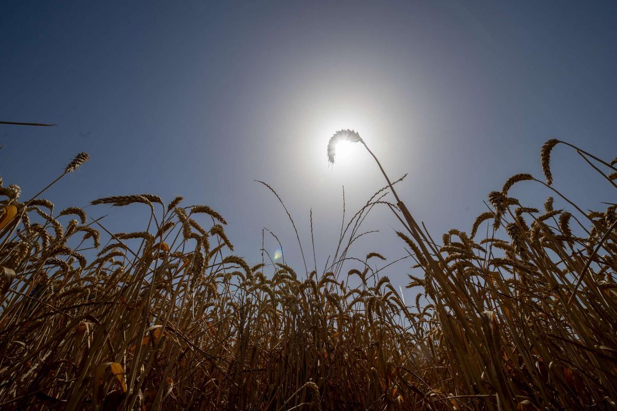 Météo dans le Sud-Ouest : si les infos sont aussi précises, c’est parce qu’un réseau de bénévoles œuvre dans l’ombre