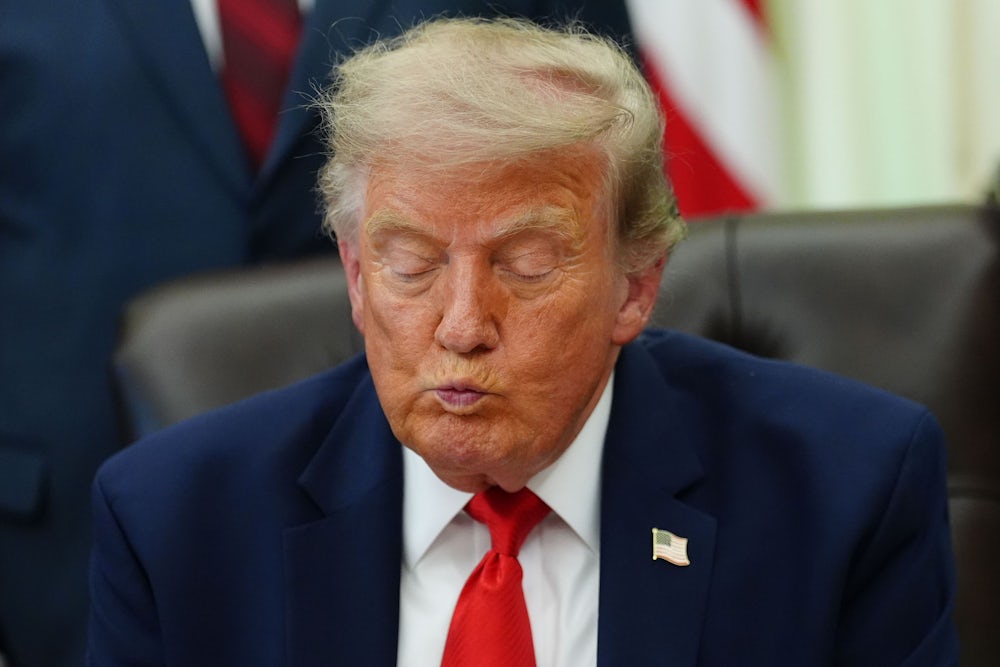 Live:Trump unterzeichnet Dekrete gegen Geburtstourismus