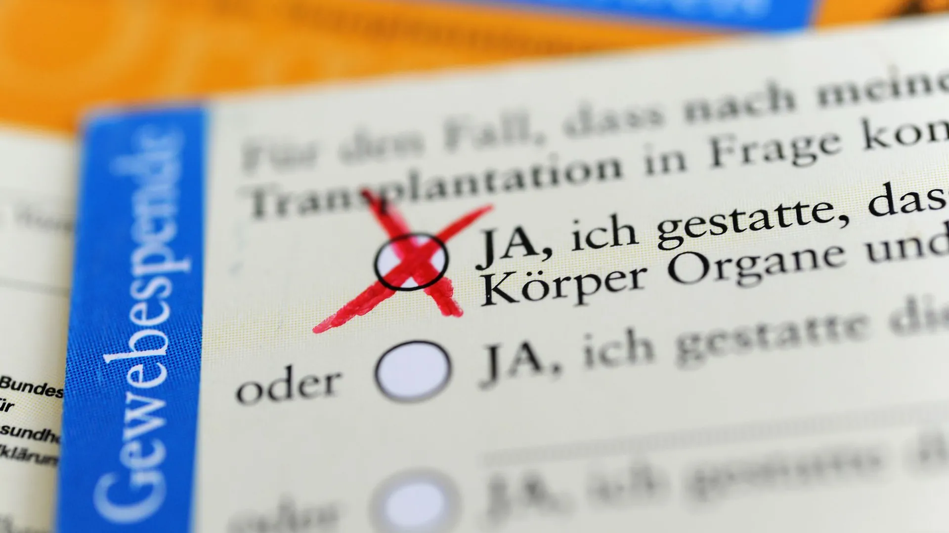 Organspende 2026: Zahl der Spender steigt um sechs Prozent