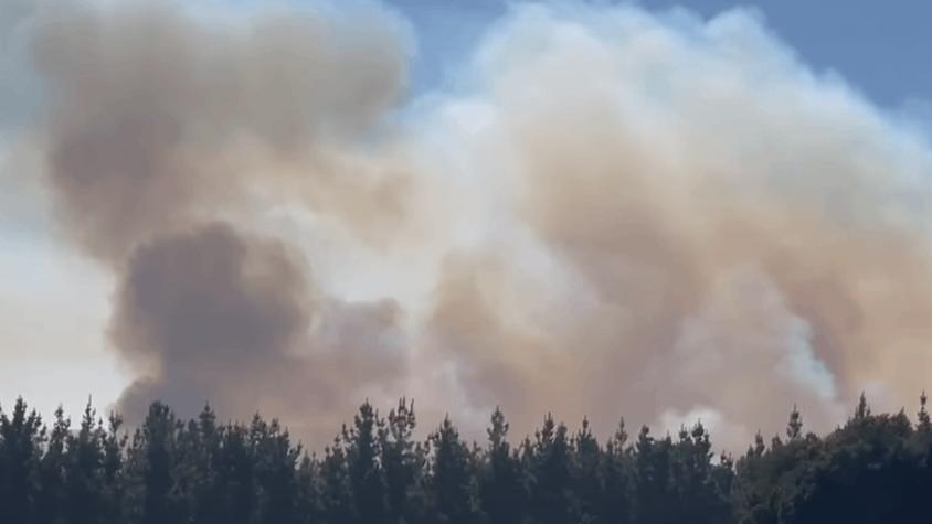 Alerta Amarilla en Pichilemu: incendio forestal ya ha consumido 50 hectáreas