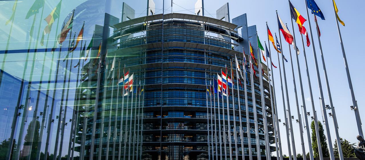 EU-Chemikalienbehörde TFA hat schädliche Wirkung auf die Fortpflanzung