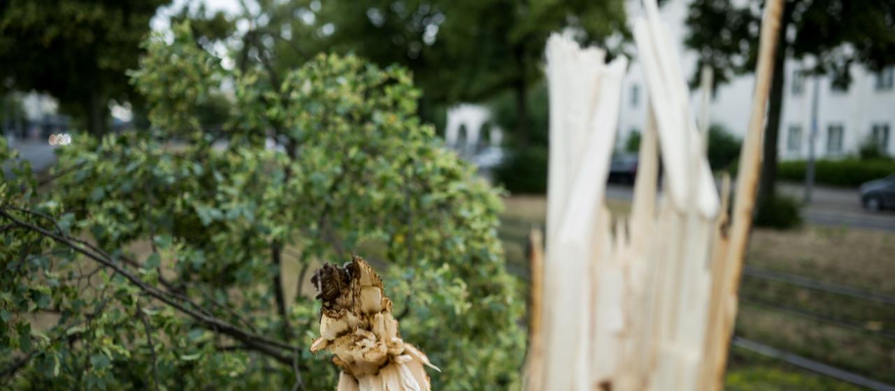 Wetter Sturmböen, Starkregen - und die Hitze drückt weiter