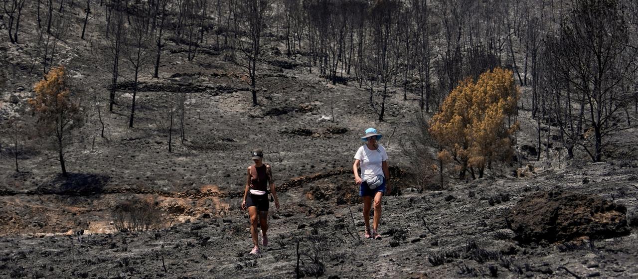 Waldbrand in Spanien Verbrannte Erde, zerstörte Häuser