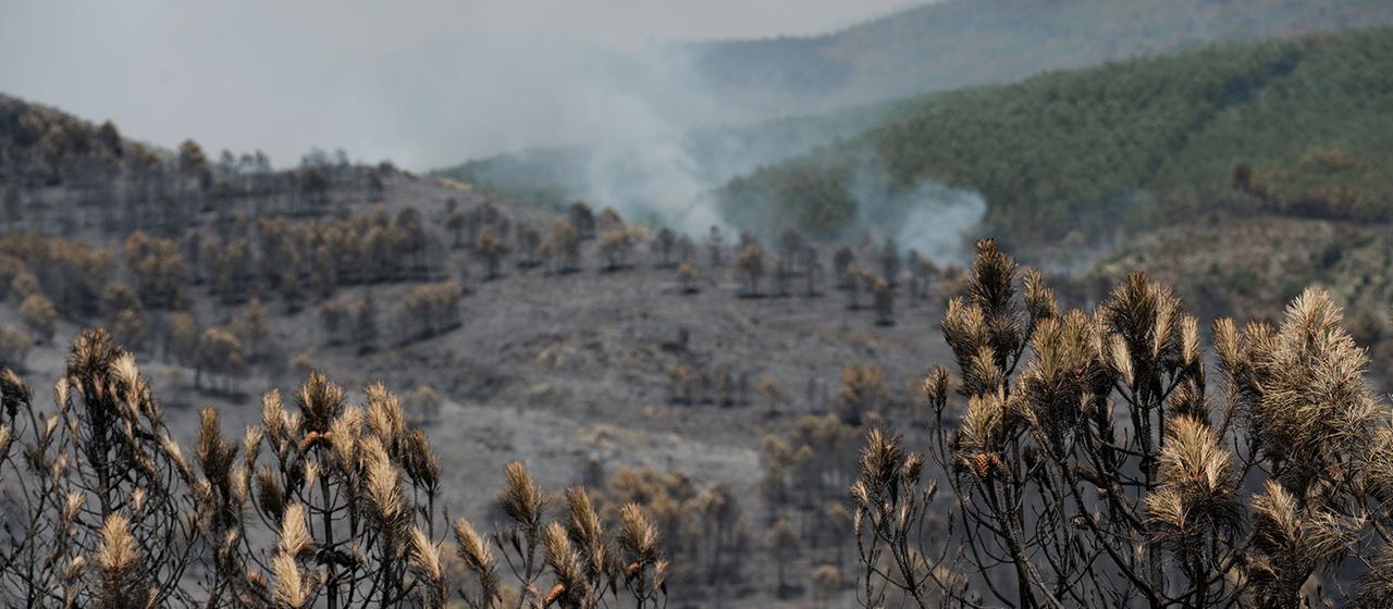 Waldbrand bei Madrid außer Kontrolle – Tausende Hektar verbrannt