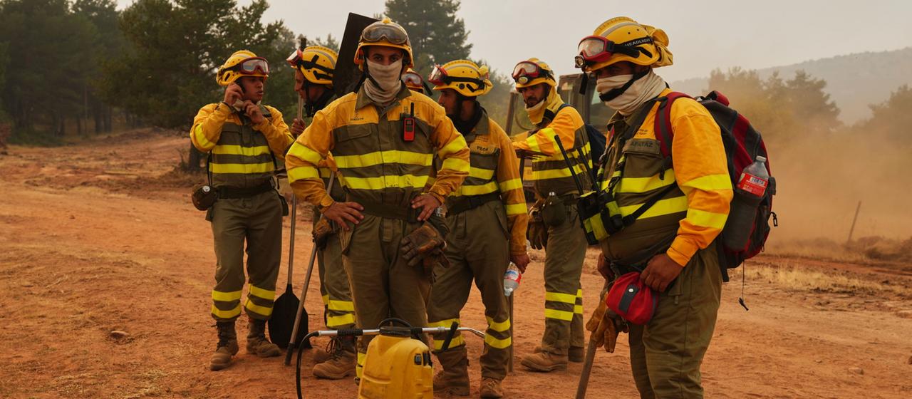 Waldbrände in Südeuropa Der komplexe Kampf gegen das Feuer