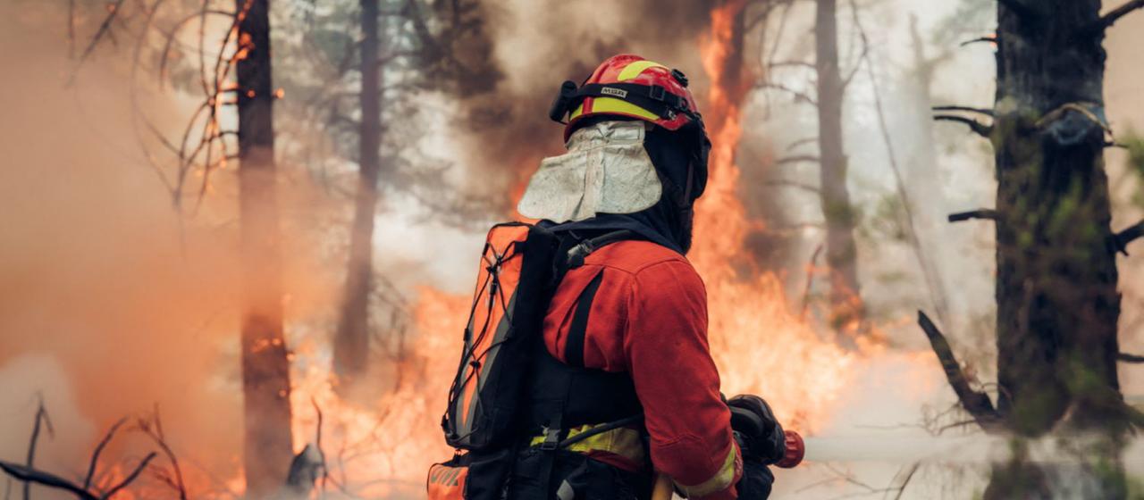 Tote Feuerwehrleute bei Bordeaux: Waldbrände in Frankreich, Spanien und Italien