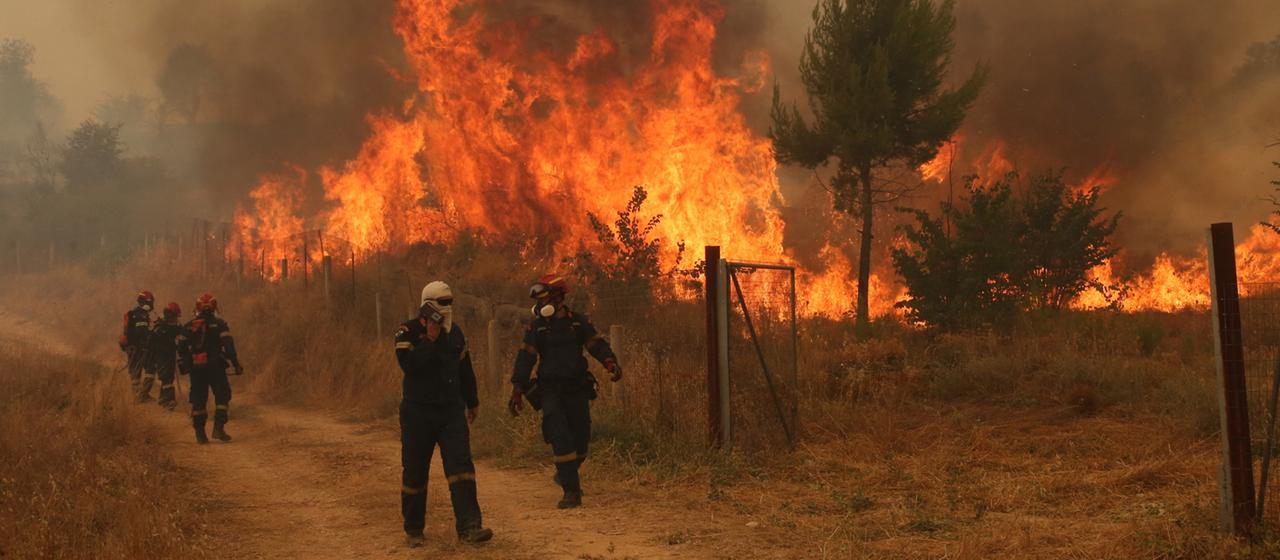 Waldbrand bedroht griechische Stadt Megara – Bürgermeister spricht von chaotischer Situation