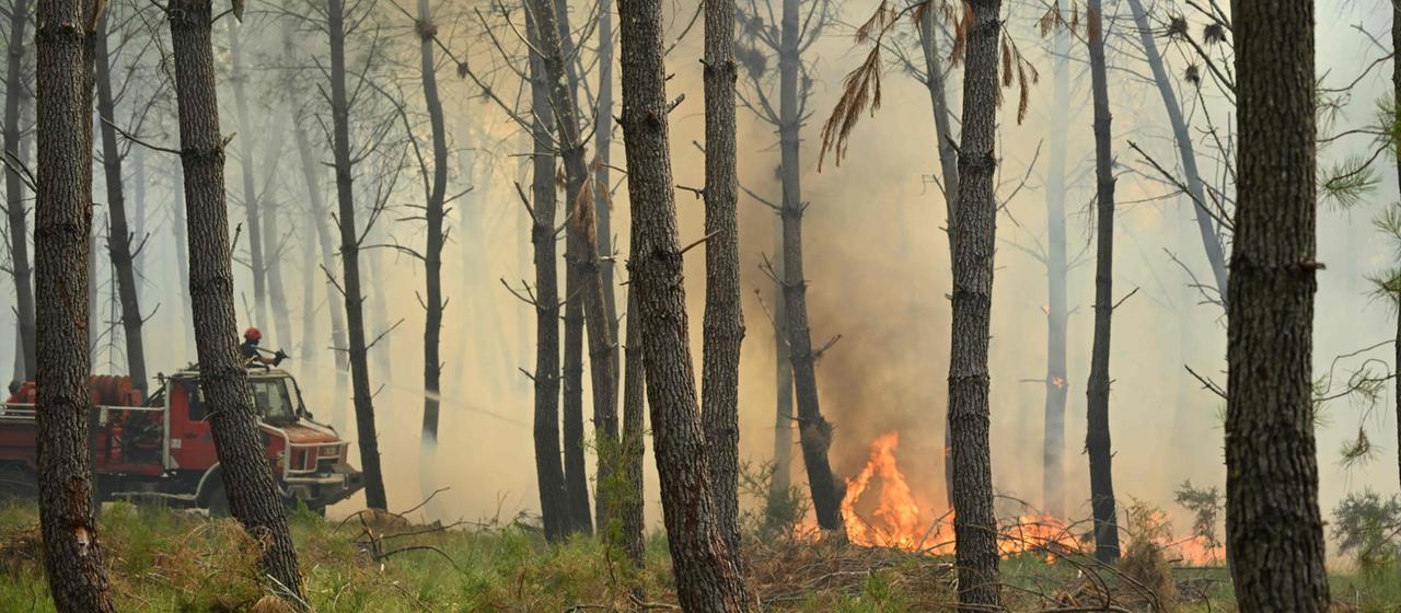 Waldbrände in Europa: Mehrere Länder von Feuern betroffen